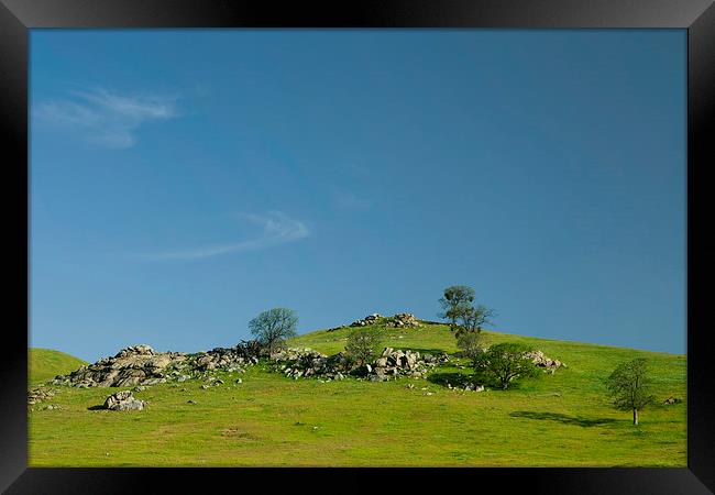 Light and shadows - Spring in central California Framed Print by Ram Vasudev