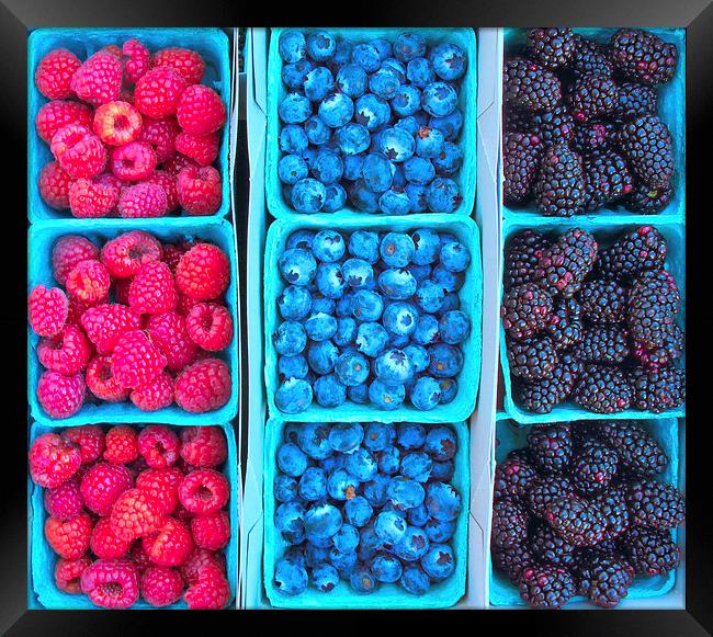 Farm Fresh Berries Framed Print by Ram Vasudev