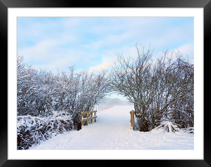 Archway snowed in field Framed Mounted Print by Susan Sanger