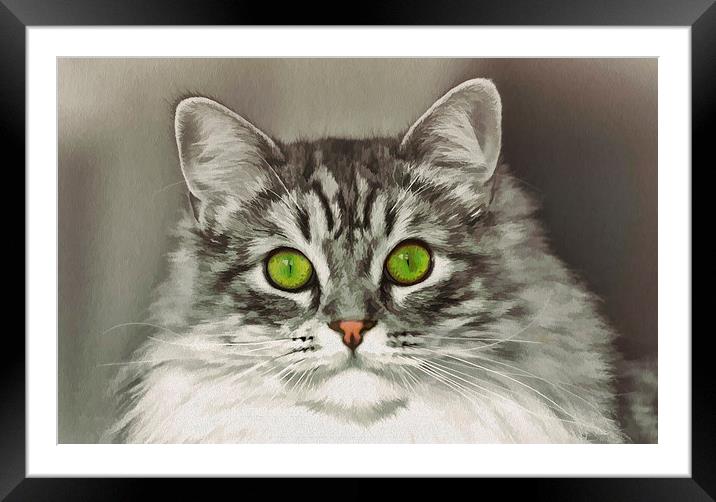 I am looking at you Framed Mounted Print by Susan Sanger