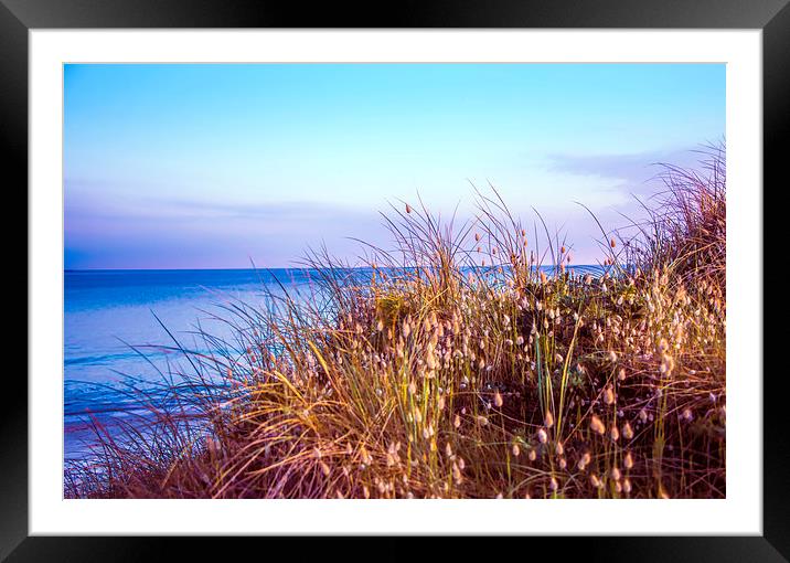 Brittany beach at dawn Framed Mounted Print by Susan Sanger
