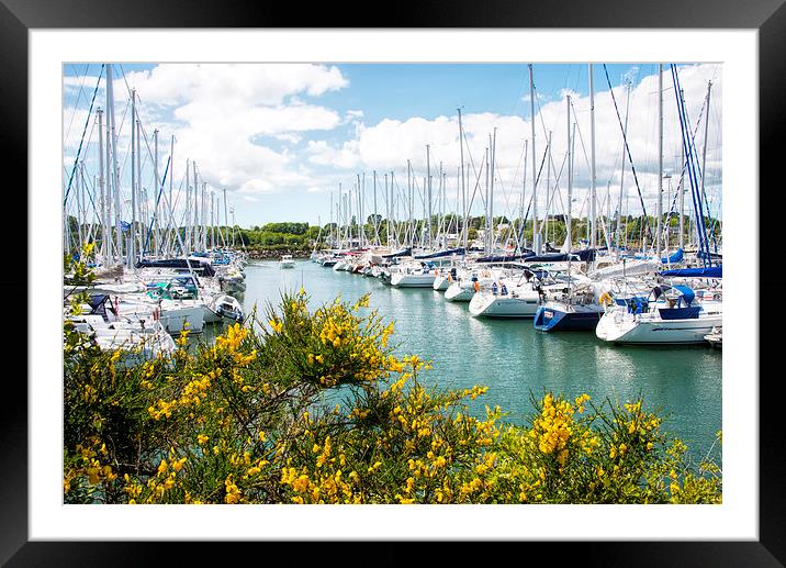 Marina in Brittany France Framed Mounted Print by Susan Sanger