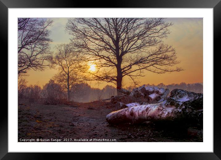 Susan Sanger Framed Mounted Print by Susan Sanger