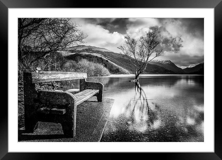 Contemplation in Monochrome Framed Mounted Print by Christine Smart