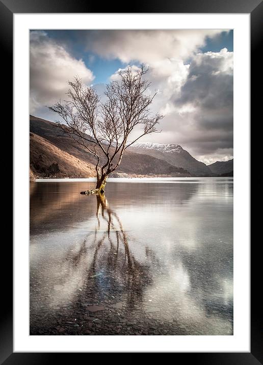 The Lonely Tree Framed Mounted Print by Christine Smart