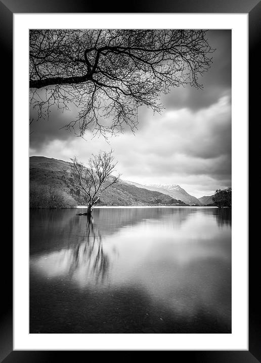 The Shadowy Tree Framed Mounted Print by Christine Smart