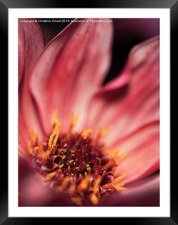 The Beauty That Lies Within Framed Mounted Print by Christine Smart