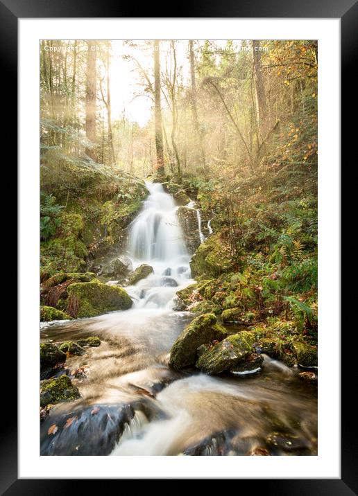 A Woodland Walk by the Waterfall Framed Mounted Print by Christine Smart