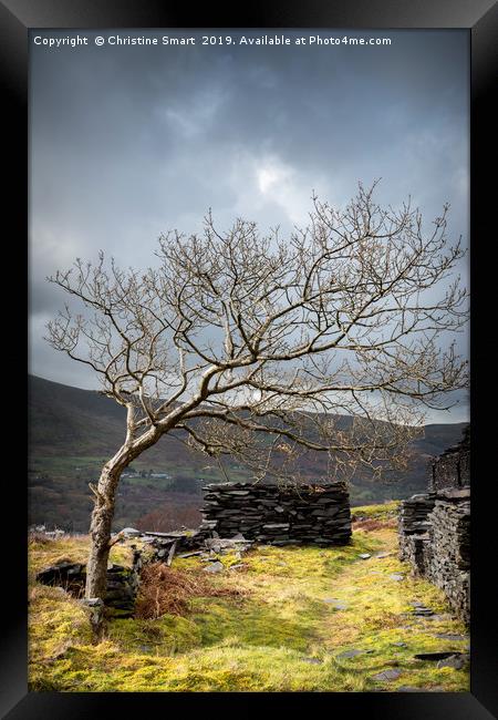 Dinorwic Slate Quarry - The Tree Framed Print by Christine Smart