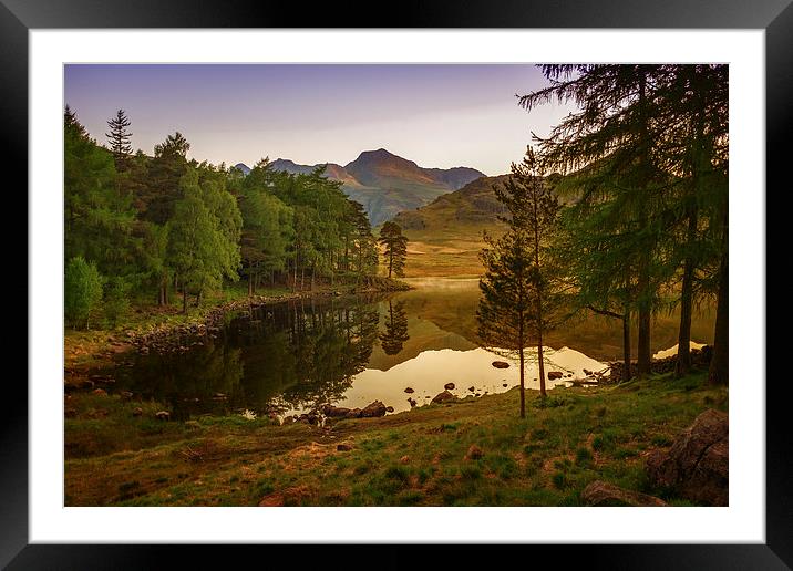 Blea Tarn Framed Mounted Print by Rich Berry