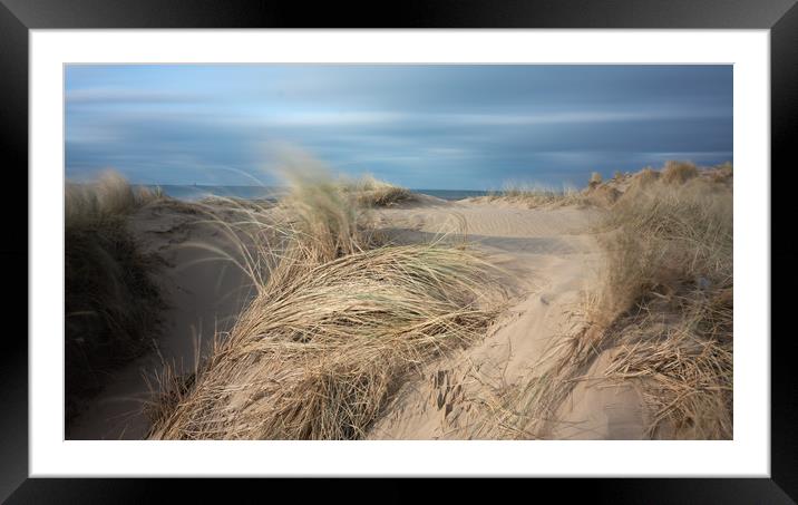 Sand Dunes and Salty Air Framed Mounted Print by Rich Berry