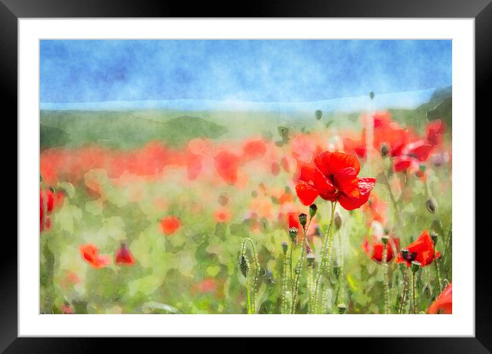Red Poppies Background Framed Mounted Print by Helen Hotson