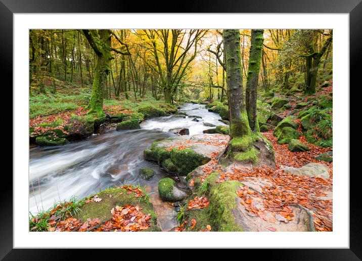 Autumn in Cornwall Framed Mounted Print by Helen Hotson