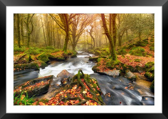 Autum Forest River Framed Mounted Print by Helen Hotson