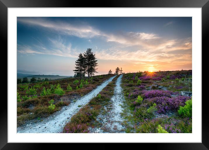 Dorset Heath Framed Mounted Print by Helen Hotson