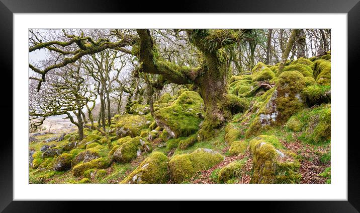 Wistman's Wood on Dartmoor Framed Mounted Print by Helen Hotson