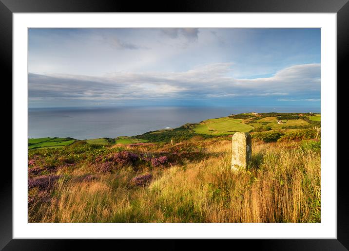 Summer on the Yorkshire coast above Ravenscar Framed Mounted Print by Helen Hotson