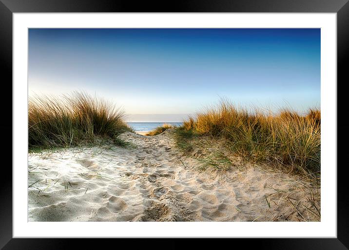 Path through the Dunes Framed Mounted Print by Helen Hotson