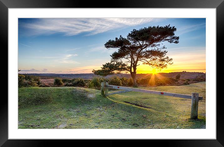 Sunset at Bratley View in the New Forest Framed Mounted Print by Helen Hotson