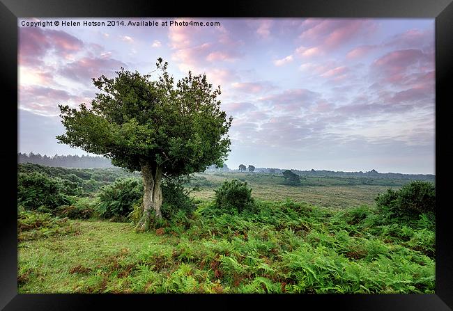 Bratley View in the New Forest Framed Print by Helen Hotson