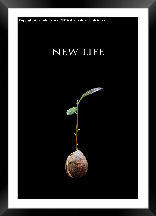 New Life Framed Mounted Print by Bahadir Yeniceri