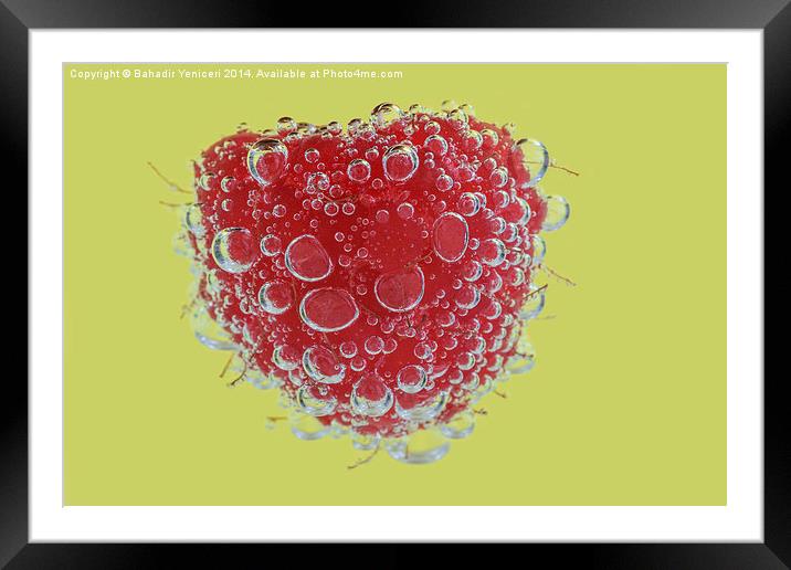 Raspberry  Framed Mounted Print by Bahadir Yeniceri