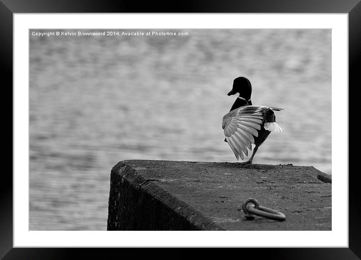 Duck Yoga Framed Mounted Print by Kelvin Brownsword