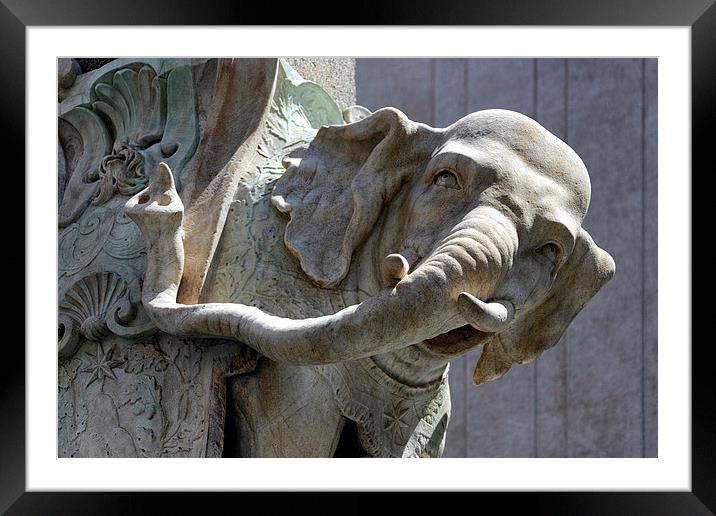 Berninis elephant 1 Framed Mounted Print by Andreas Klatt