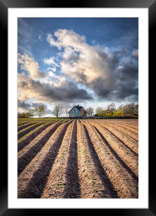 Ploughed Field with Little House in Sweden Framed Mounted Print by Antony McAulay