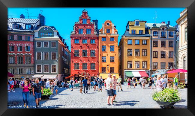 Stockholm Gamla Stan Stortorget Framed Print by Antony McAulay