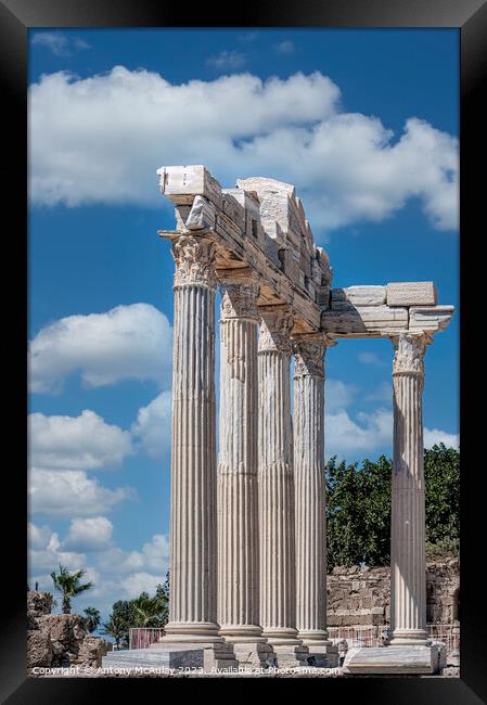 Side Temple of Apollo Framed Print by Antony McAulay