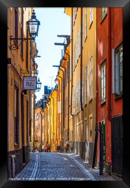 Stockholm Gamla Stan Prastgatan Framed Print by Antony McAulay