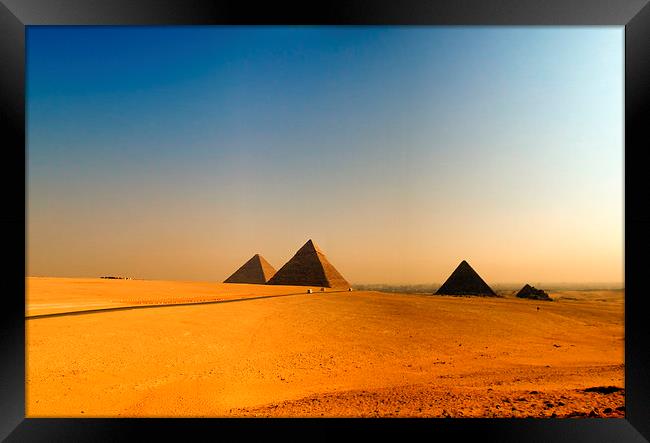 pyramids of giza 08 Framed Print by Antony McAulay