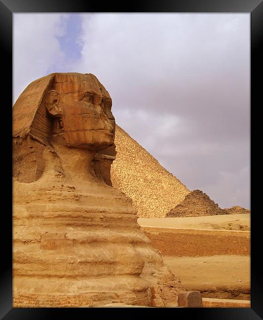 The Sphinx of Egypt 02 Framed Print by Antony McAulay