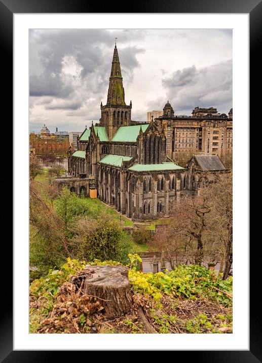 Glasgow Cathedral From The Necropolis Framed Mounted Print by Antony McAulay