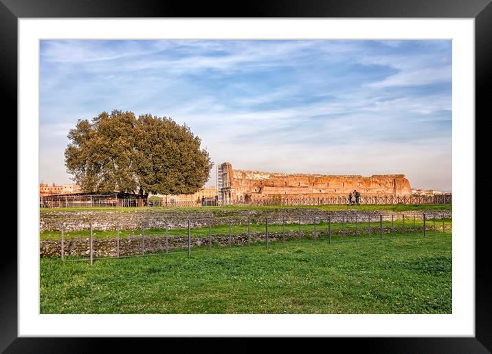 Rome Colosseum Framed Mounted Print by Antony McAulay