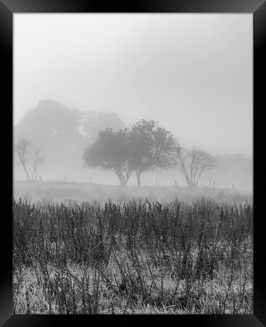 Early Morning Mist Framed Print by Antony McAulay