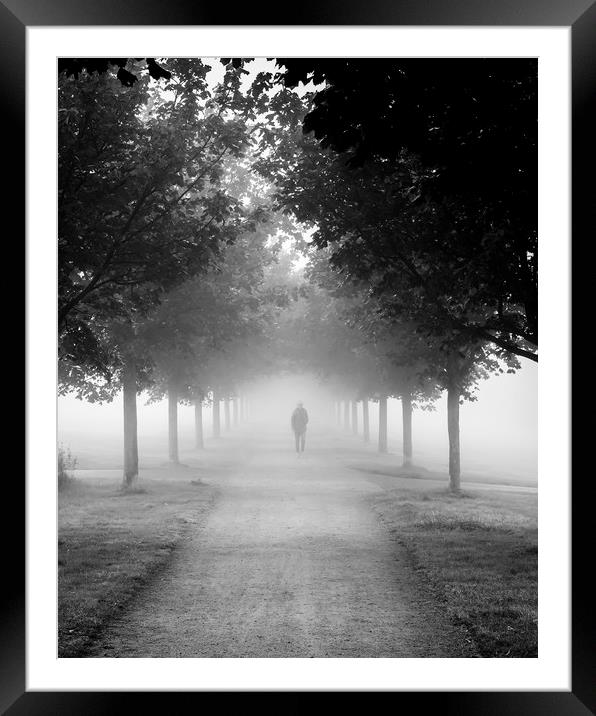 Foggy Autumn Morning Framed Mounted Print by Antony McAulay