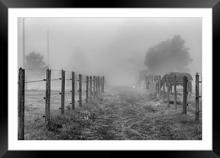 Foggy Morning Country Lane Framed Mounted Print by Antony McAulay