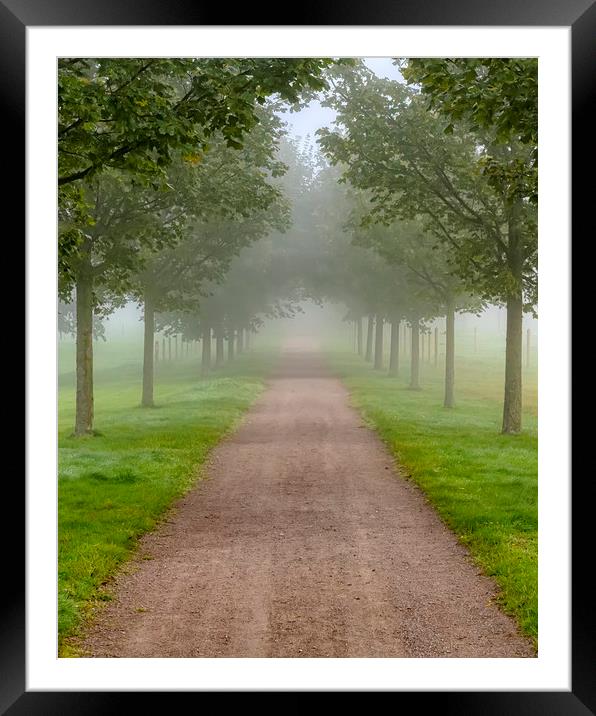 Foggy Morning Country Tree Line Path Framed Mounted Print by Antony McAulay
