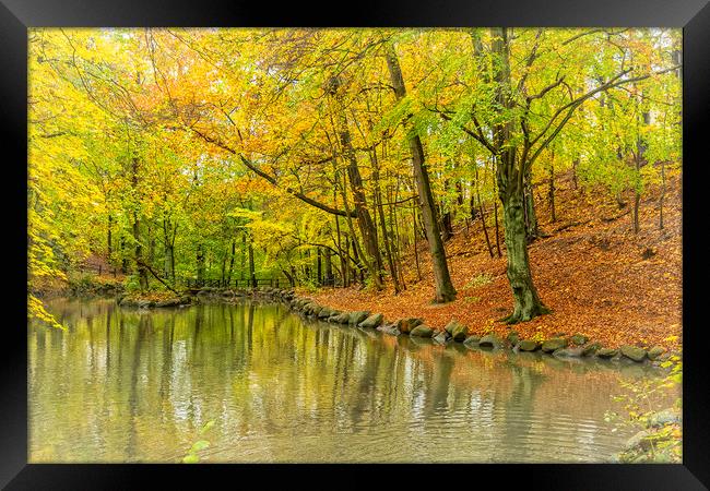 Helsingborg Jordbodalen Woodlands Pond Framed Print by Antony McAulay