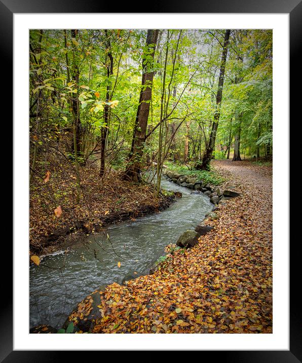 Helsingborg Jordbodalen Woodlands Stream Framed Mounted Print by Antony McAulay