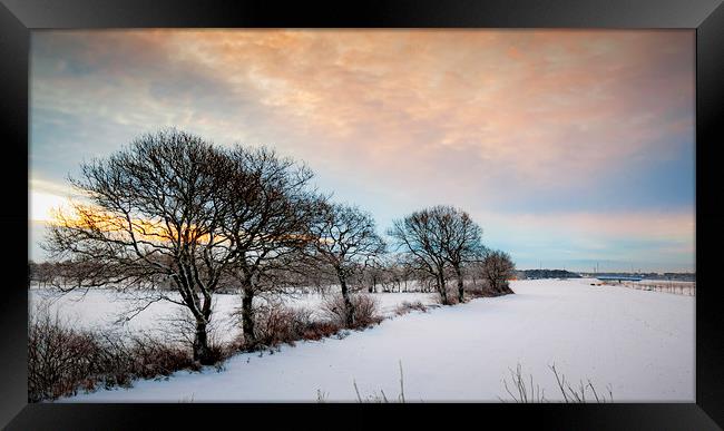 Lonely Winter Sunrise Trees Framed Print by Antony McAulay