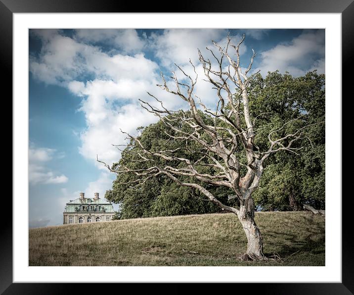 Dyrehaven Hermitage Palace And The Dead Tree Framed Mounted Print by Antony McAulay