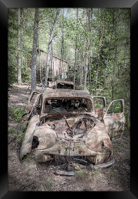 Kirkoe Mosse Bilkyrkogard Rusting Cars Framed Print by Antony McAulay