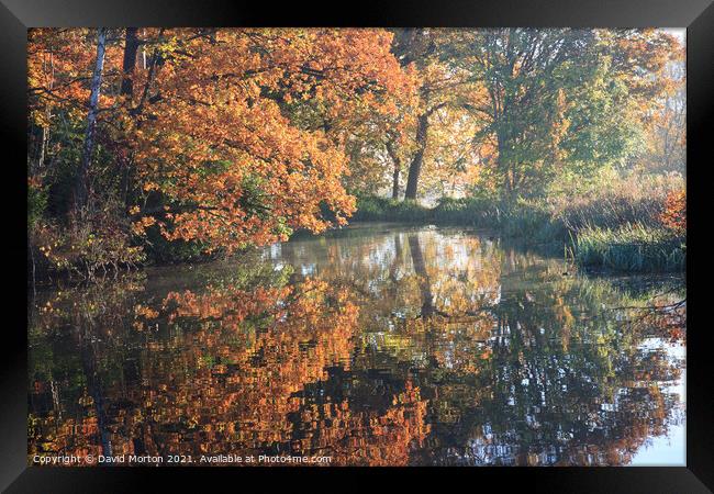 Autumn Reflections Framed Print by David Morton