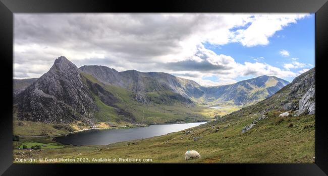 Tryfan and the Glyders above Llyn Ogwen Framed Print by David Morton