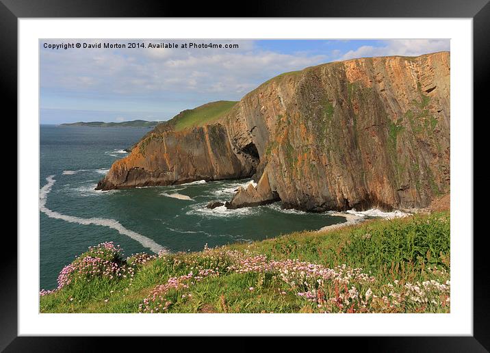 Baggy Point in the Spring Framed Mounted Print by David Morton