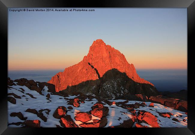 Mt Kenya at Sunrise Framed Print by David Morton