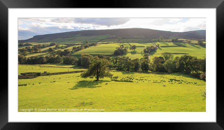 Verdant Farndale in North Yorkshire Framed Mounted Print by David Morton